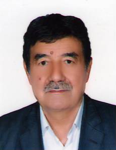 جناب آقای محمدرضا الهامی